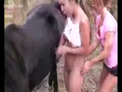 Horny lesbians beauties are joined by a hard horse pecker